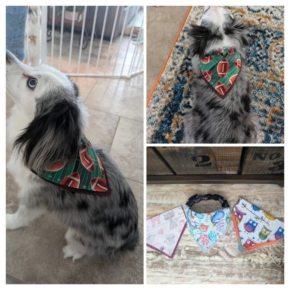 Hand Crafted Over the Collar Pet/Dog Bandana Set of 3, Size XS